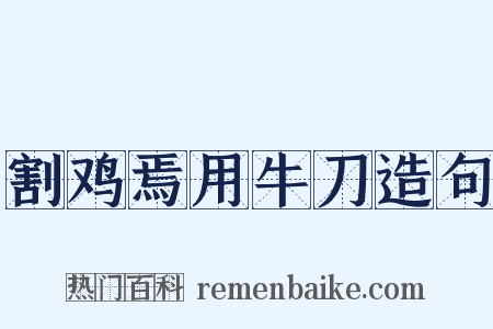 割鸡焉用牛刀造句是什么意思的图片